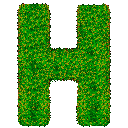 Hatari-icon.png