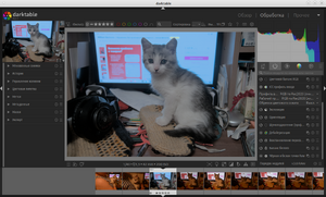 Darktable-screenshot.png