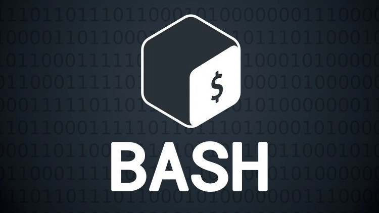 Файл:Bash.webp