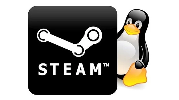 Файл:Steam-linux.webp